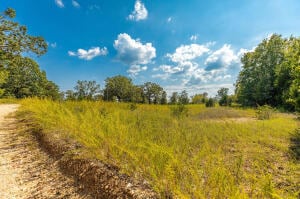 Tract 1 Mc 8025, Peel, AR 72668 - photo 2