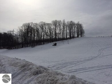 7547 E Meadows Dr unit 50, Cedar, MI 49621 - photo 6