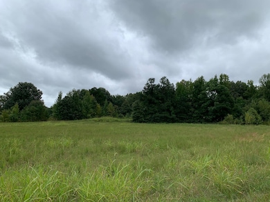 View of local wilderness