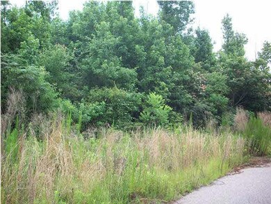 LOT #8 Edgewood Ct, Atmore, AL 36502 - photo 3