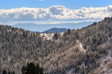 Tbd Private Rd, Cripple Creek, CO 80813 - photo 2