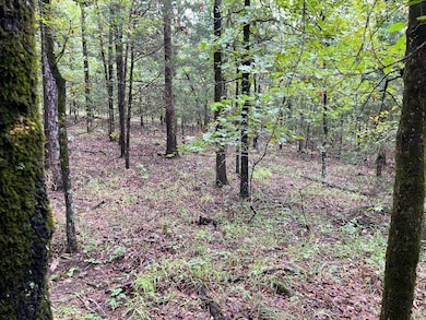 Tbd 0030 Goats Bluff Summerfield Oklahoma, Summerfield, OK 74966 - photo 6