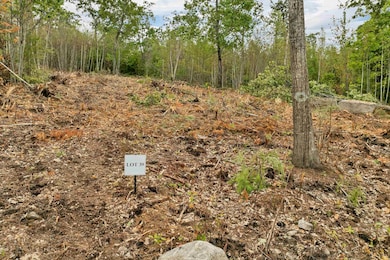 0 Long Stack Ln, Wolfeboro, NH 03894 - photo 3