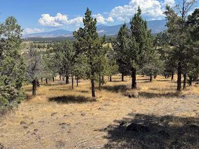 Unit 9-1 Lot 32 Palomino Rd unit 9-1, Lake Shastina, CA 96094 - photo 6