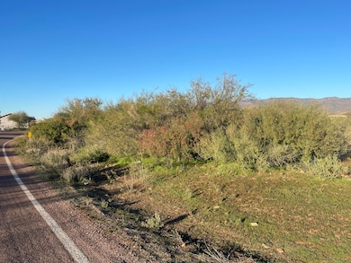 46G Ewing Trail, Tonto Basin, AZ 85553 - photo 7