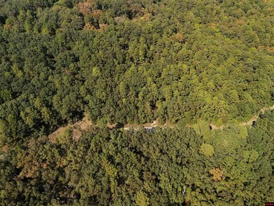 001-01299-000 Dwelle Rd, Norfork, AR 72658 - photo 5