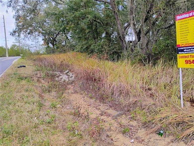 0 Keuka unit A11871453, Palatka, FL 32148 - photo 4