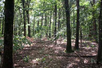 7.1 Highway 59, Jay, OK 74346 - photo 7