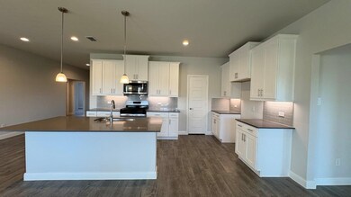 4231 Cornerstone Cir, Granbury, TX 76048 - photo 4