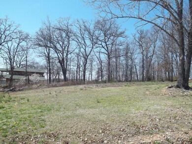 Lot 4 Breezy Point Ln, Ruth B Rural Township, MO 65686 - photo 5