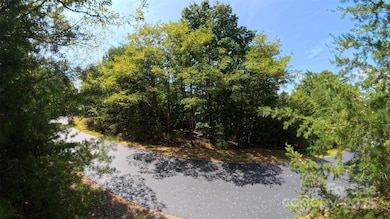 0 Pioneer Gate Dr unit 55, Bostic, NC 28018 - photo 6