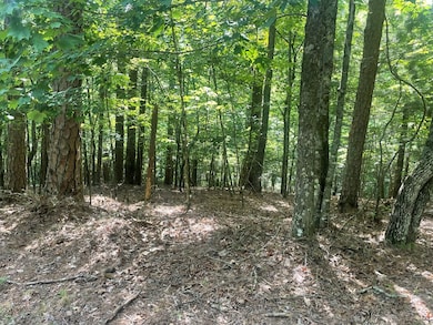 Lot 3279 Haven Ct, Ellijay, GA 30540 - photo 7