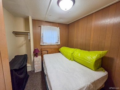 9970 N Graves Rd, Manistique, MI 49854 - photo 7