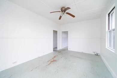 62 Barenaba Ln, Hilo, HI 96720 - photo 4