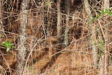 #15 State Road S-46-1102 unit 15, York, SC 29745 - photo 6