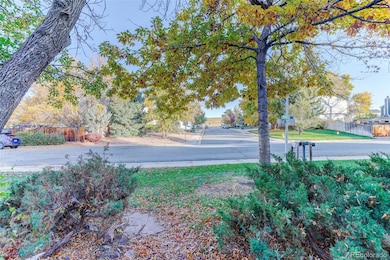 View from the front porch