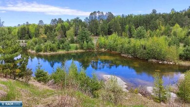 80064 Osprey Pass, Tower, MN 55790 - photo 5