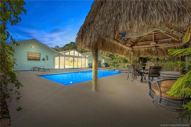 Pool & Tiki Hut