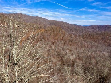 999 Mountain Gait Dr unit 13, Mars Hill, NC 28754 - photo 5