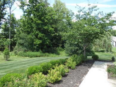 Sidewalk to front entry