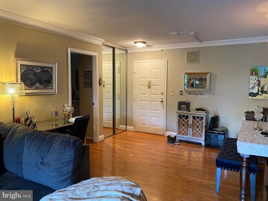 The Rotonda unit 325, McLean, VA 22102 - photo 3