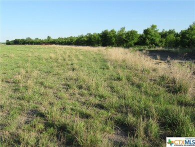 TBD Fm 935 Tract 6, Troy, TX 76579 - photo 5