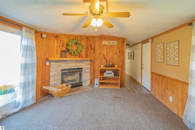 10593 E Remus Rd, Mount Pleasant, MI 48858 - photo 7