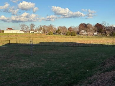 4900 Apple Rd, Sarcoxie, MO 64862 - photo 5