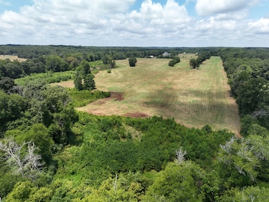 5072 Mobley Store Rd, McConnells, SC 29726 - photo 4