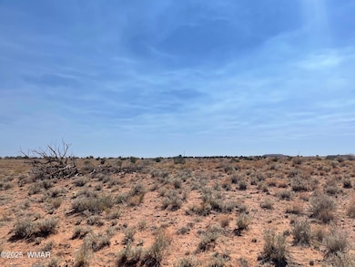 Parcel A Arizona 77, Snowflake, AZ 85937 - photo 3