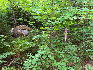 MixedGrowth