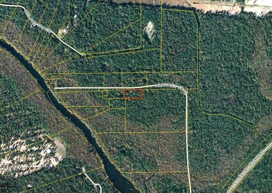 XX Narvaez Trail, Crawfordville, FL 32327 - photo 5