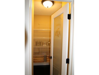 Amazing walk-in pantry.