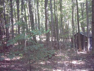 Exterior Front Storage shed
