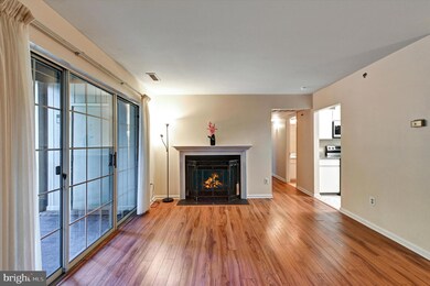 2 Rainflower Path unit 201, Sparks Glencoe, MD 21152 - photo 4