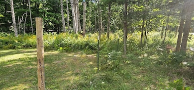 3087 S Seely Rd, Cadillac, MI 49601 - photo 3