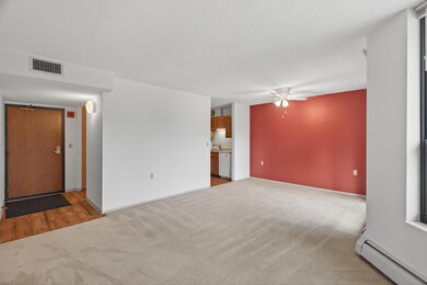 6615 Lake Shore Dr S unit 302, Richfield, MN 55423 - photo 5
