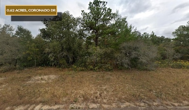 0 Coronado Dr unit 25703078, Chipley, FL 32428 - photo 2