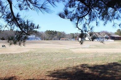 271 Navigator Dr, Greenbackville, VA 23356 - photo 6