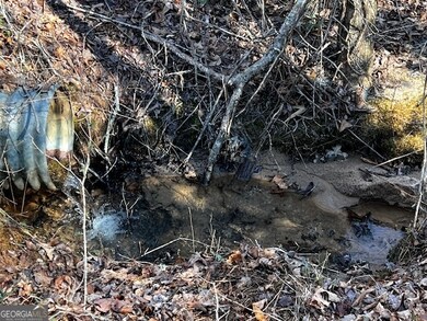 1200 Roy Powers Rd, Cleveland, GA 30528 - photo 5