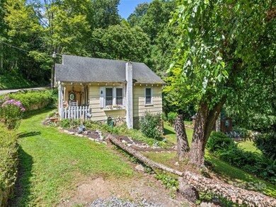 4828 Max Patch Rd, Clyde, NC 28721 - photo 5