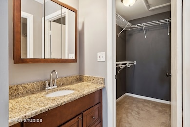 375 Springlake Ln unit C, Aurora, IL 60504 - photo 7