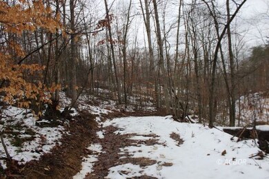 0 Mann Rd unit 2424445, Logan, OH 43138 - photo 7