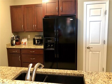 714 Aqua Marine Blvd unit 33, Avon Lake, OH 44012 - photo 4