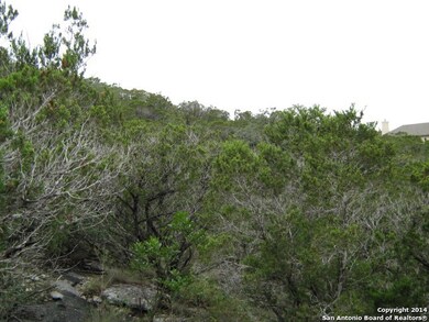 12326 Calvert, Helotes, TX 78023 - photo 4