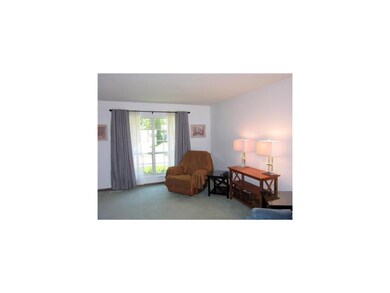 Living Room. Sunny living room, newer windows