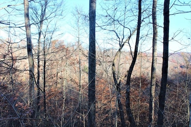 0 Ky 828 Lot unit Wp002, Webbville, KY 41180 - photo 4