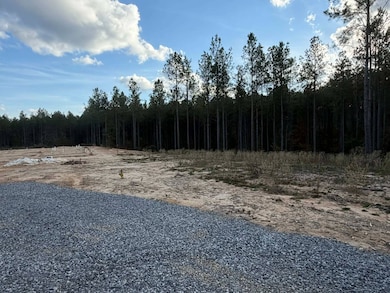 108 Meadowview St, Jena, LA 71342 - photo 4