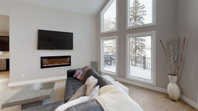 245 Roadside Ranch Rd, Lake Metigoshe, ND 58318 - photo 6