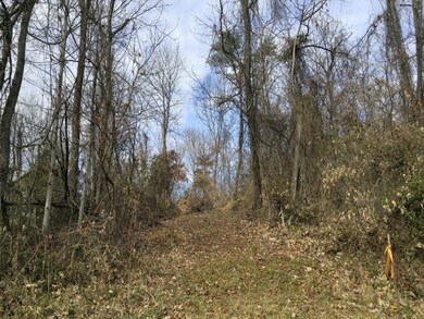 TBD Watauga Rd, Watauga, TN 37694 - photo 4